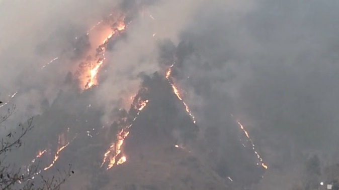 थराली के जंगलों में भीषण आग: 20 हेक्टेयर से अधिक क्षेत्र जलकर खाक, गौशालाओं को खतरा